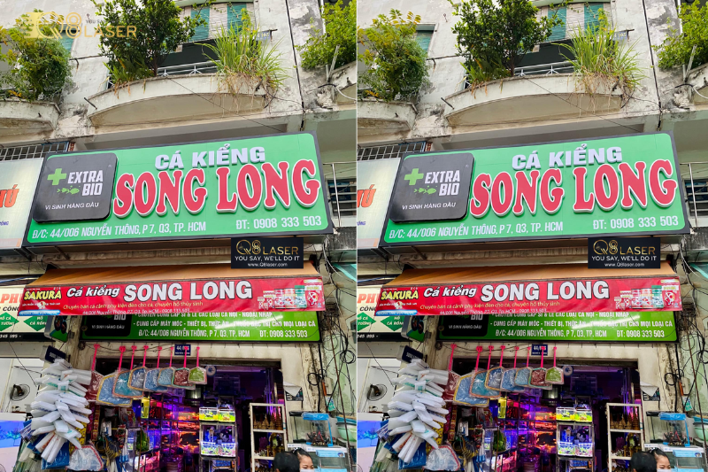 Biển hiệu quảng cáo quận 3 cho shop cá kiểng