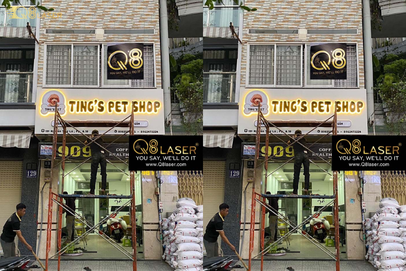 Bảng hiệu pet shop nổi bật