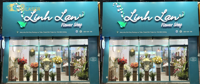 Biển hoa tươi thu hút ánh nhìn